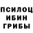 Псилоцибиновые грибы Cubensis Ilya Edemskiy