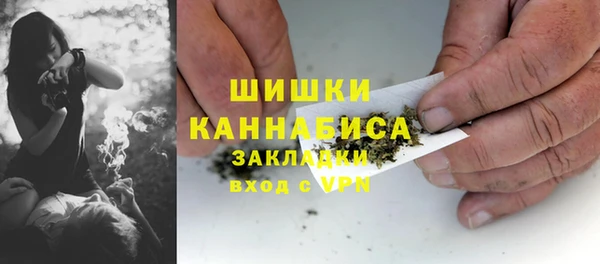 ПСИЛОЦИБИНОВЫЕ ГРИБЫ Зеленодольск
