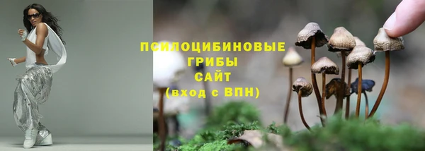 эйфоретик Заволжск